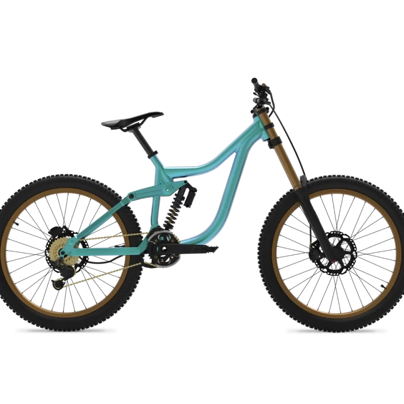 Venus bike